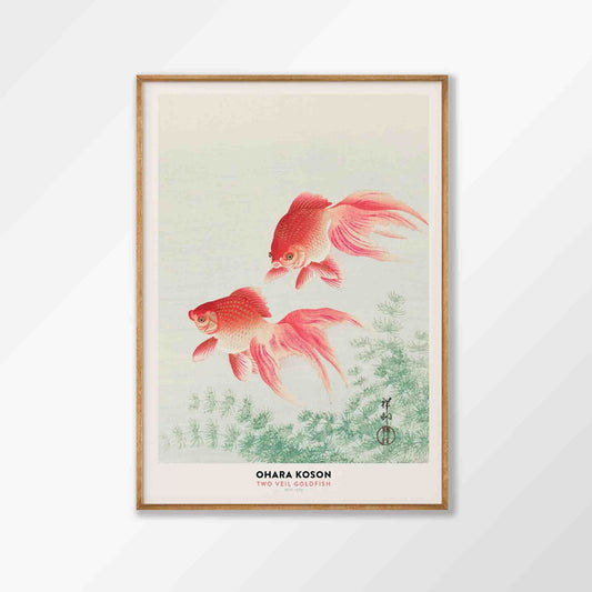 Two Goldfish by Ohara Koson in Tasmanian Oak Frame | Atollo Printshop