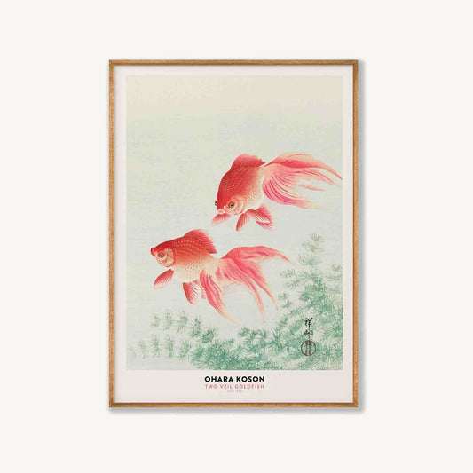 Two Goldfish by Ohara Koson in Tasmanian Oak Frame | Atollo Printshop