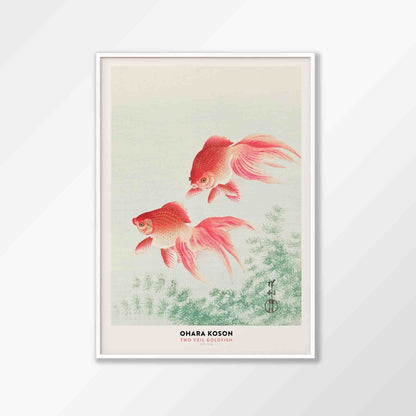 Two Goldfish by Ohara Koson
